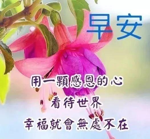 新闻动态 第382页