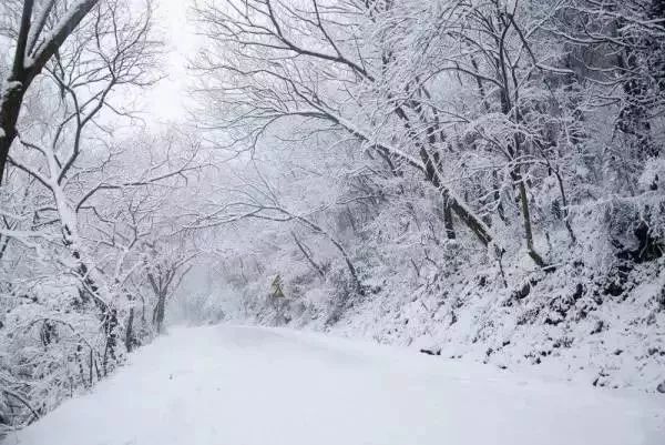 雪的奇幻世界，最新探索之旅