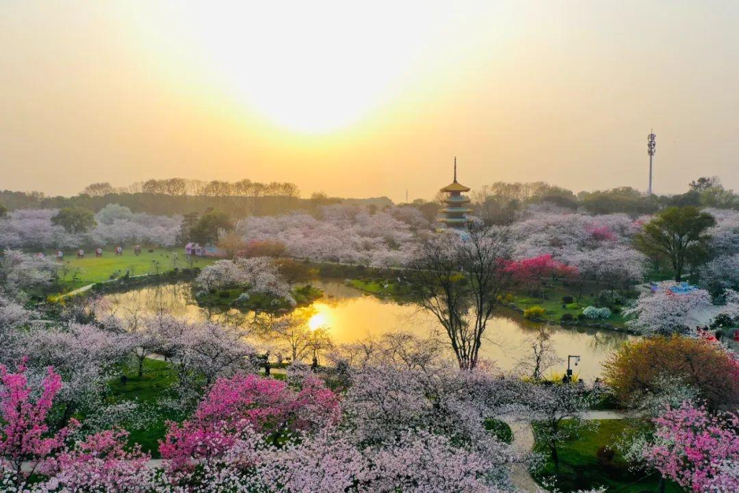 武汉最新招聘信息今日揭秘，探寻职业发展的无限机遇与前景