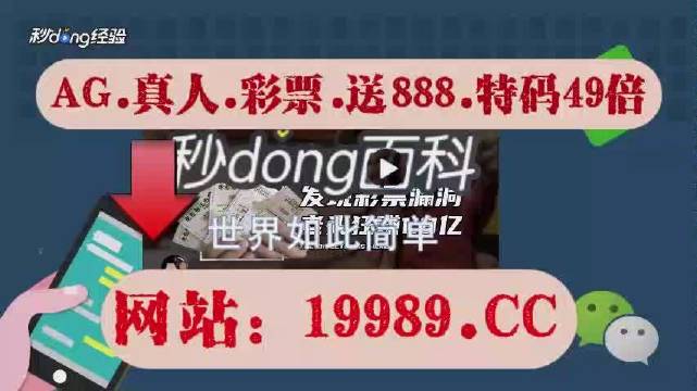 澳门2024今晚开码公开四,广泛的解释落实方法分析_标准版90.65.32