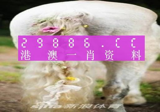 澳门一肖一码100准免费资料,最新答案解释落实_LE版70.888