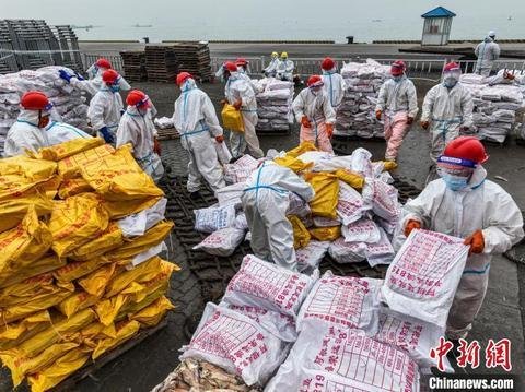 荣成信息港最新招聘动态深度解读