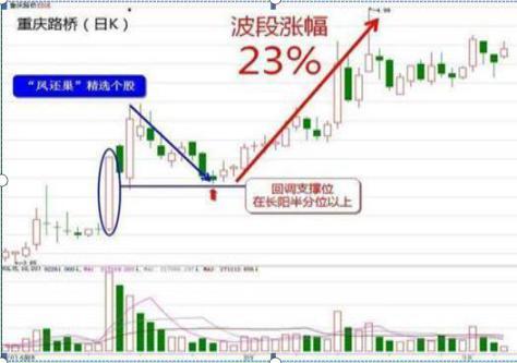 新奥门特免费资料大全火凤凰,科学化方案实施探讨_Kindle71.671