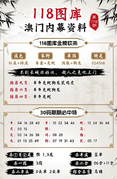 新澳门今晚精准一肖,实践验证解释定义_豪华版43.787