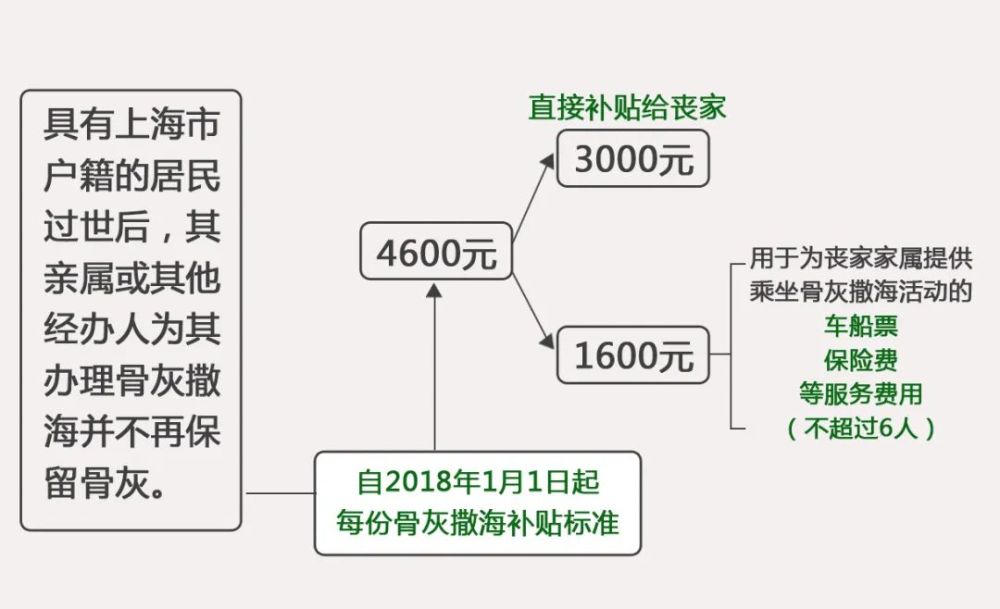 芦苇薇薇 第5页