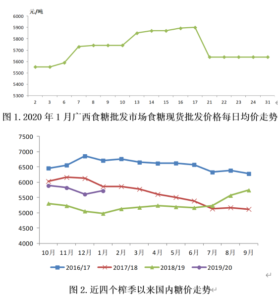 广西今日糖价最新动态解析