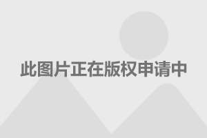 社保新规定揭秘，2019年最新政策及其深远影响