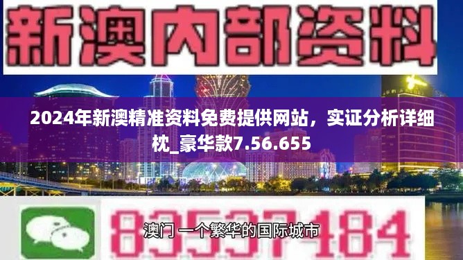 2024新奥资料免费精准051,决策资料解释落实_基础版2.229