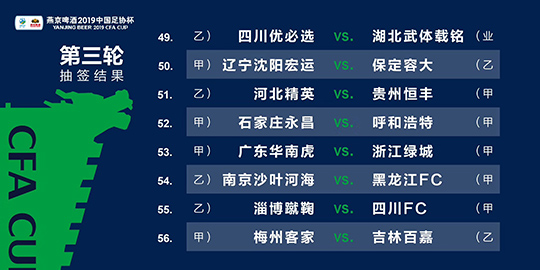 新澳2024年精准资料期期公开不变,功能性操作方案制定_win305.210