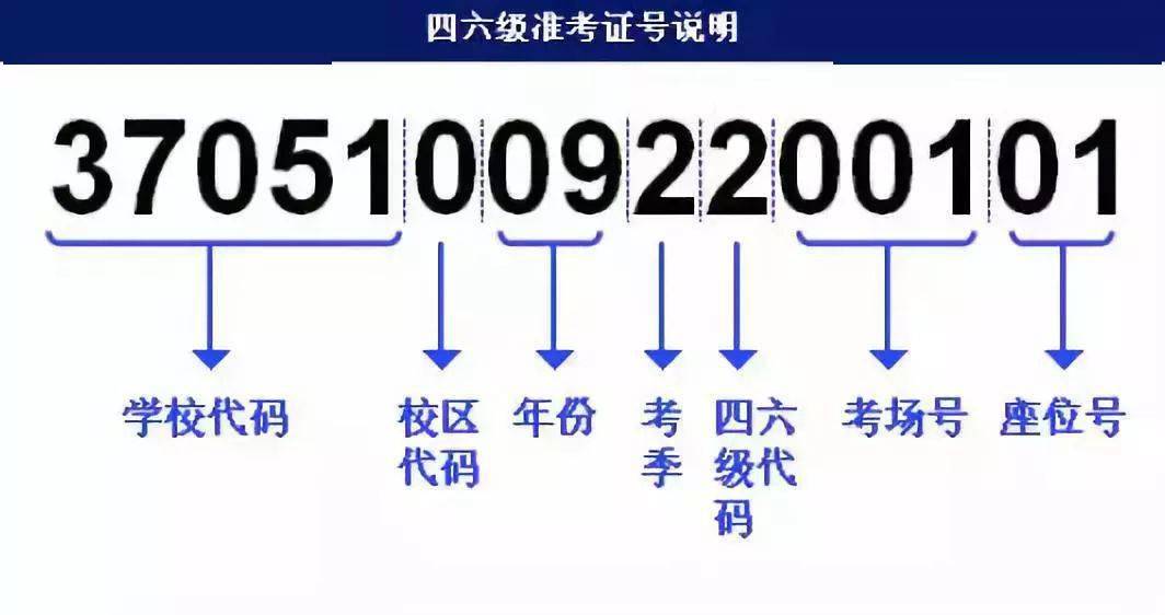 澳门最精准真正最精准龙门客栈,快速执行方案解答_旗舰版91.280