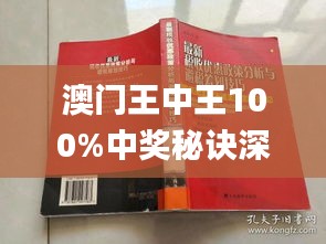 澳门王中王100,数据设计驱动解析_Premium50.787