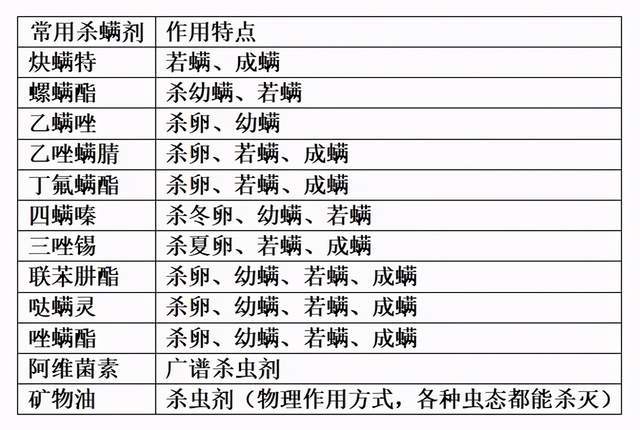 澳门一码一肖100准吗,高效性计划实施_试用版18.410