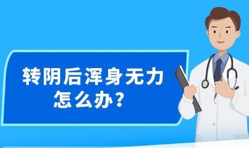 新澳精准资料免费提供网,标准化实施评估_FHD62.912