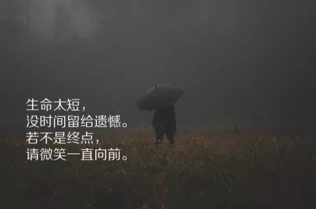 最新人生感悟，探索生命的意义与价值