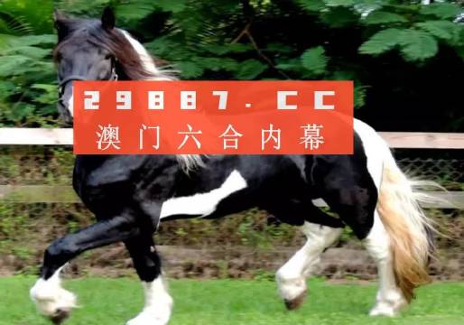 澳门今晚必开一肖一特,专家分析解释定义_冒险版43.507