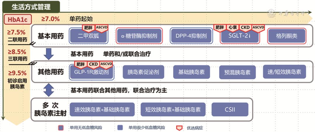 最新血糖标准概览（2022年）