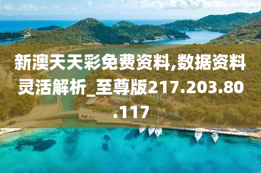 新澳天天彩资料,可靠解答解释落实_领航版75.668