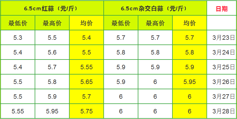 全国蒜苗价格最新行情解析