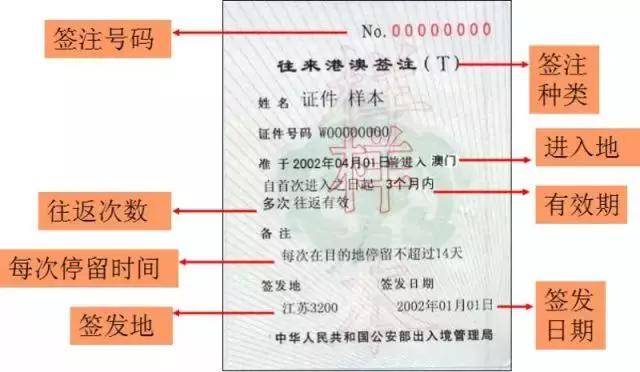 新澳天天开奖资料大全旅游攻略,统计评估解析说明_标准版40.826