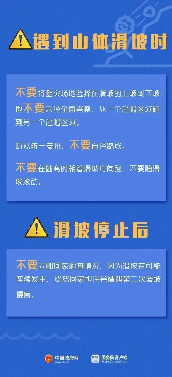 枣阳司机招聘信息与行业趋势深度解析