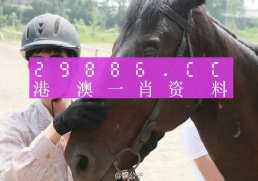 澳门大三巴一肖一码正确,收益成语分析定义_Console22.532