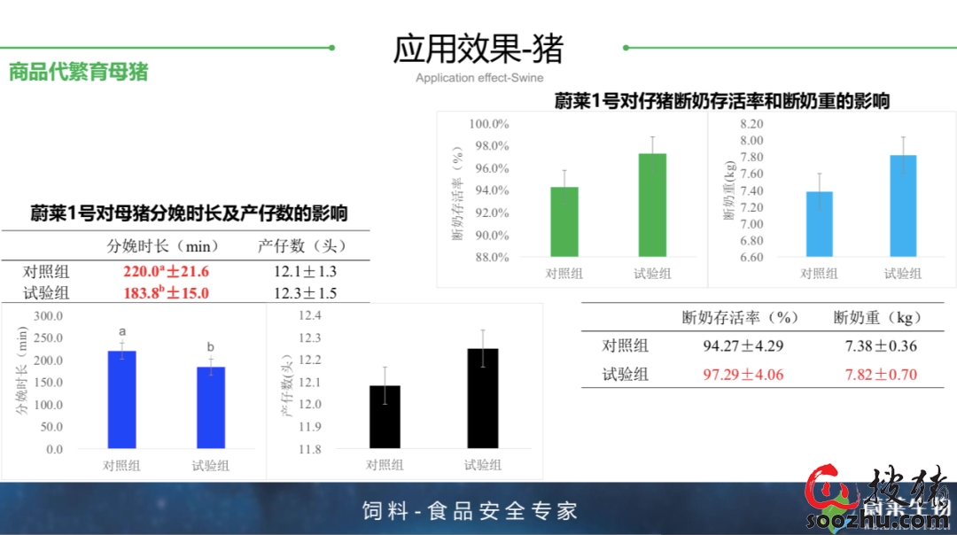 6o6678王中王免费提供,专业执行方案_AP13.590