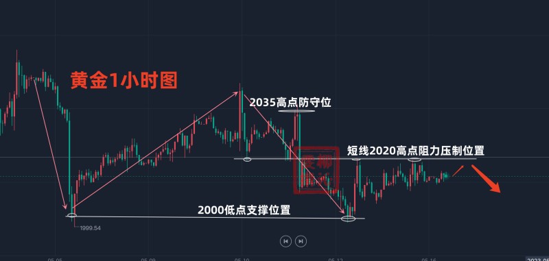 ASPz最新走势，探索前沿技术与市场交汇的前沿动态