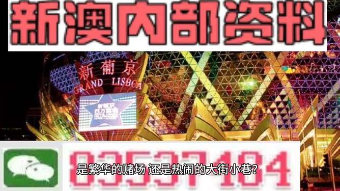 新澳门精准资料大全管家婆料,连贯评估方法_X87.913