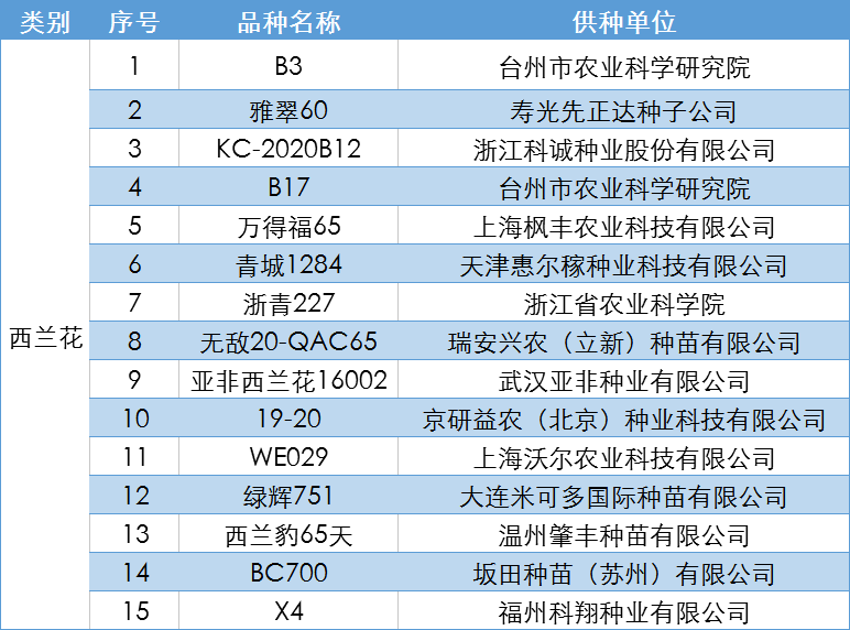 2024新奥历史开奖记录19期,专家解答解释定义_交互版135.887