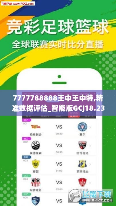 7777788888王中王中王特色功能,经典解析说明_顶级版26.158