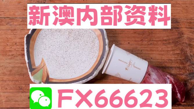 新澳精准资料免费提供网站,动态词语解释落实_户外版2.632