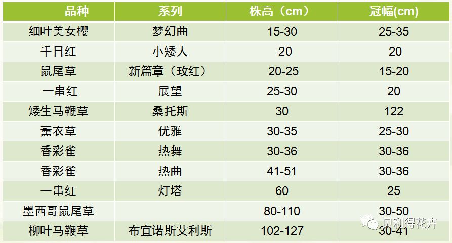 饶雪漫 第2页