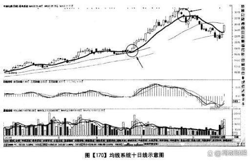 澳门王中王100%期期准确奖四不像,定量分析解释定义_PT26.135