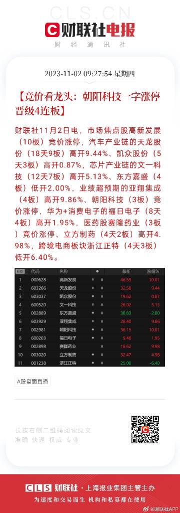 管家婆的资料一肖中特46期,数据说明解析_静态版54.55