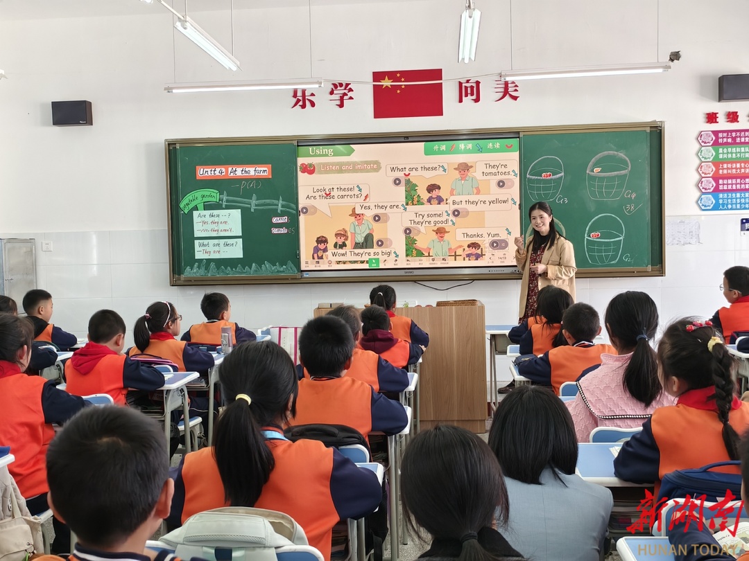 炎陵县小学最新动态报道