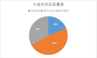 镇安县数据和政务服务局发展规划展望