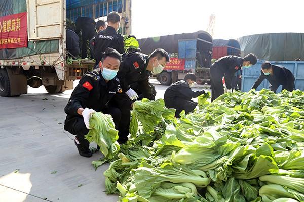 北市区防疫检疫站最新动态报道