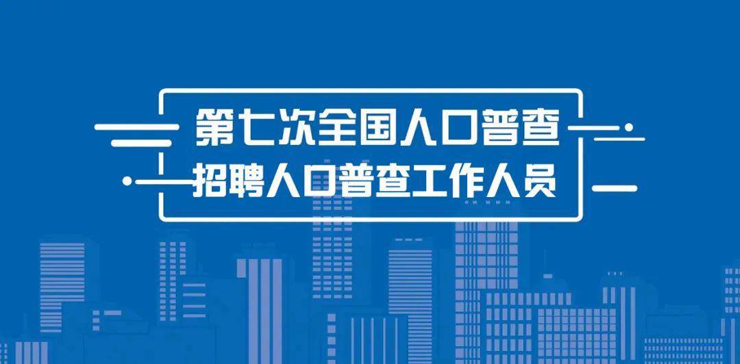 江宁区统计局最新招聘启事概览