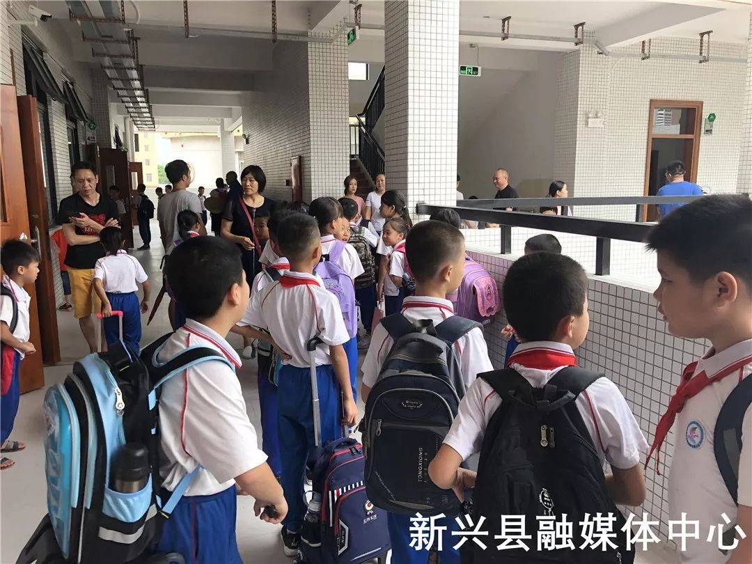 新兴区小学最新动态报道