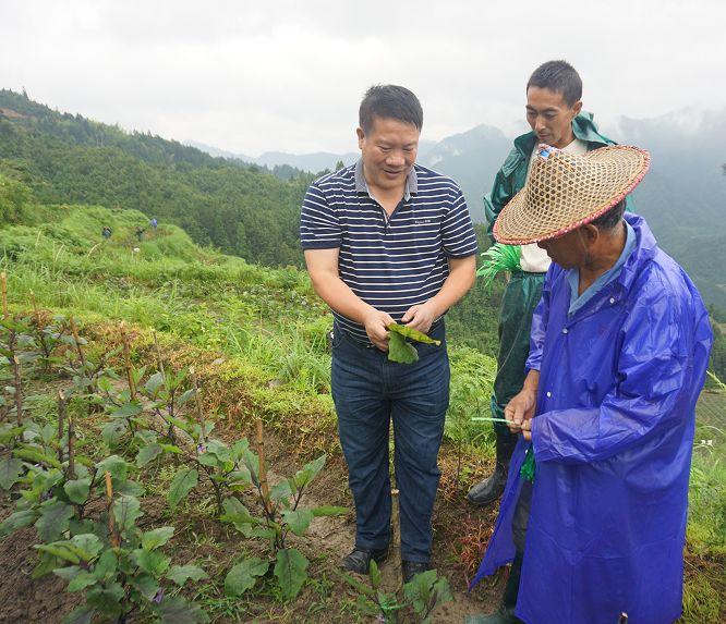 龙南县农业农村局最新发展规划概览