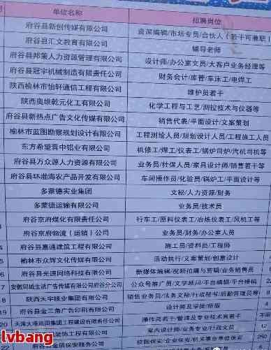 赞皇县托养福利事业单位新项目，托起民生福祉，推动县域发展