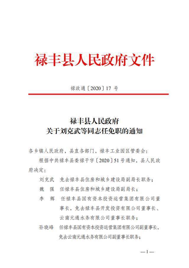 楚雄市统计局最新人事任命，新一轮力量推动统计事业蓬勃发展