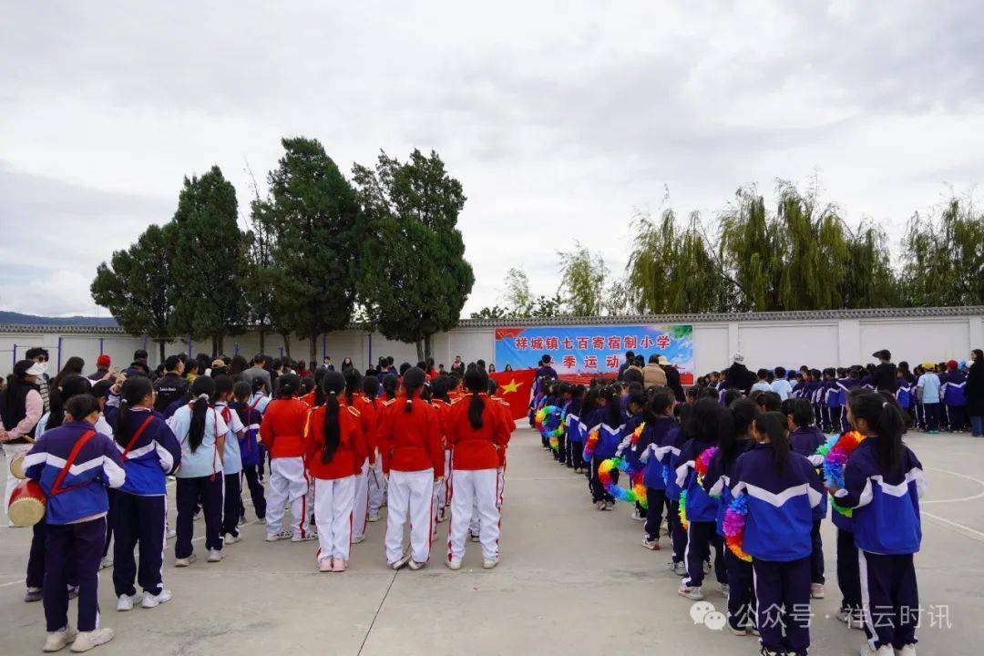 祥云县小学最新动态报道