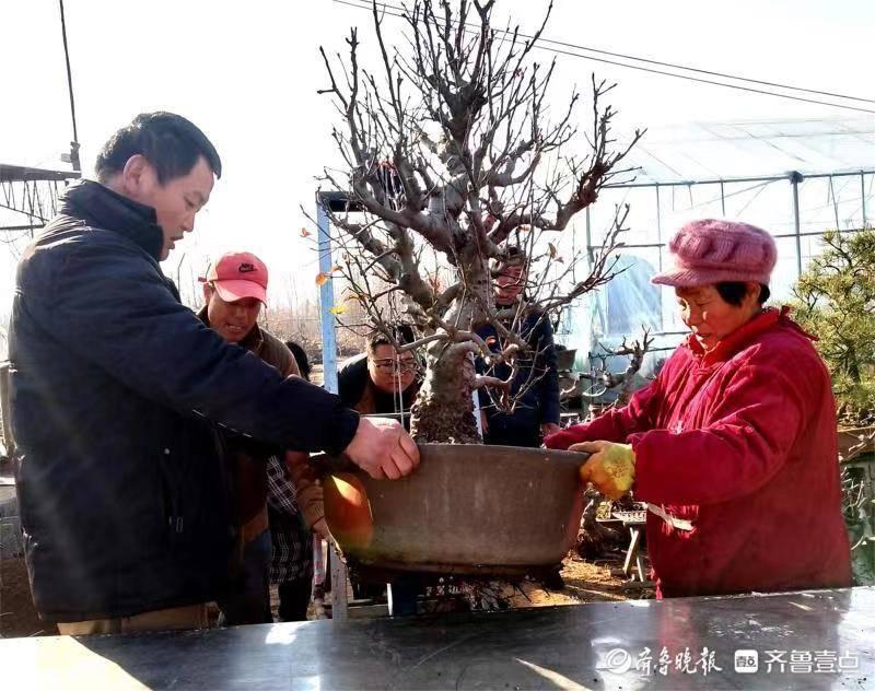 郯城县市场监管局最新发展规划概览