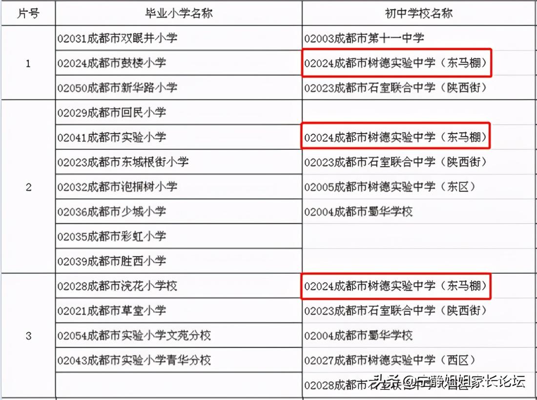 青羊区初中领导团队，引领未来教育的新力量