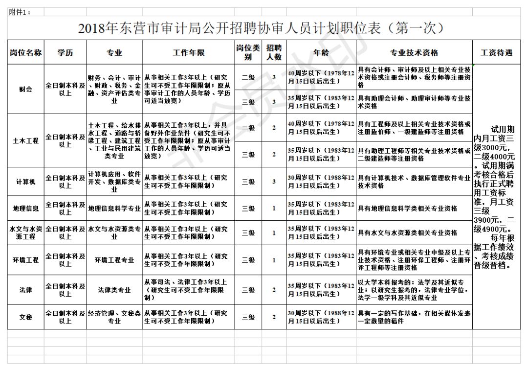 绥芬河市审计局最新招聘启事概览