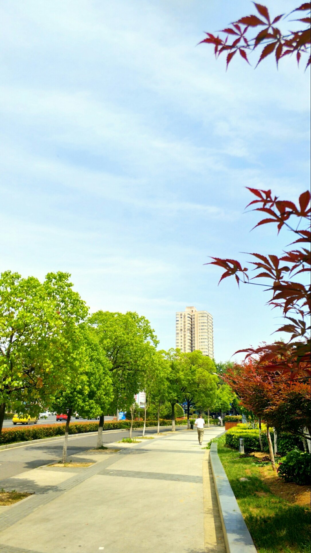 莫愁街道最新天气预报