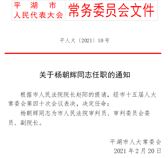 云溪区文化局人事任命新动态与未来展望