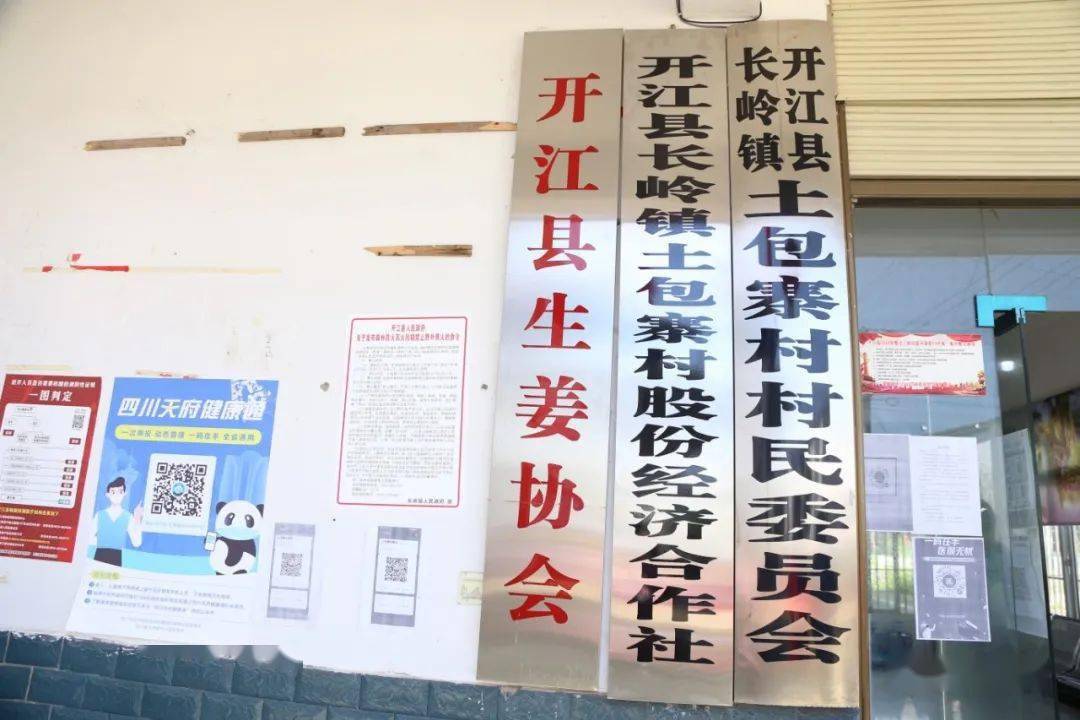 隆回县防疫检疫站发展规划，构建健康防线，推动县域经济繁荣发展