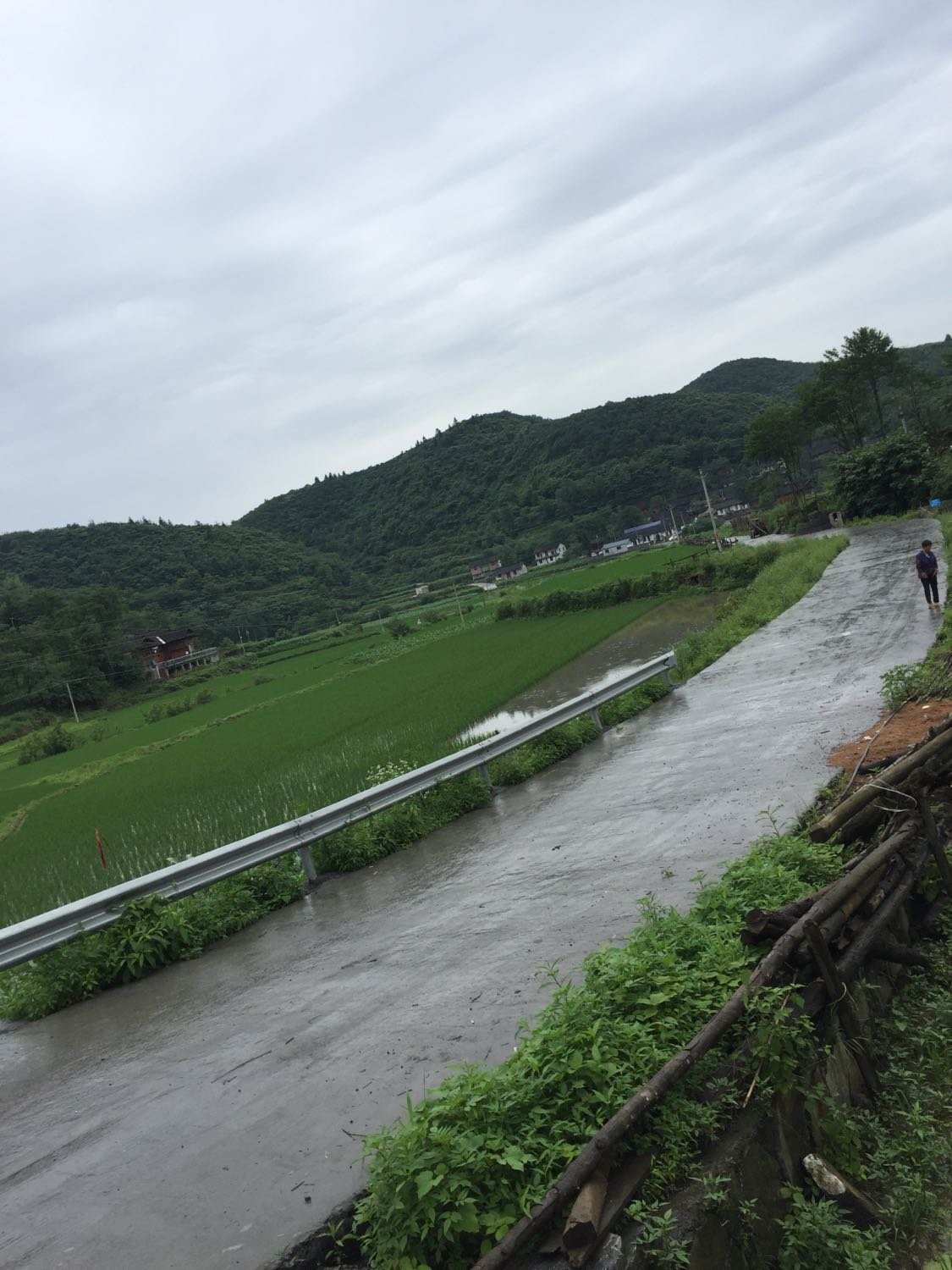 雷埠乡天气预报更新通知